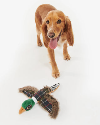 Honden Toy Fazant