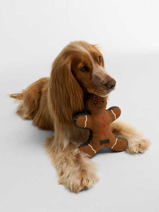Dog Toy Gingerbread