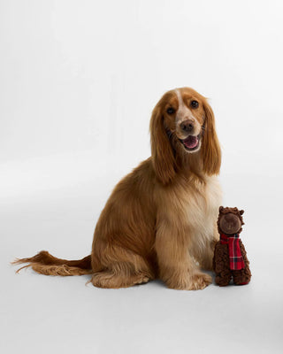 Dog Toy Llama
