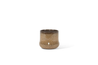 Spotted Brown