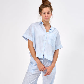 Lichtblauw met ruitjes