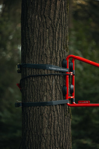 Schommel Swing