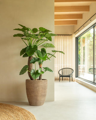 Pot de fleurs ovale d'extérieur Saya - Lot de 2