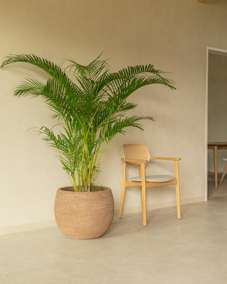 Pot de fleurs rond Saya pour extérieur - Lot de 2