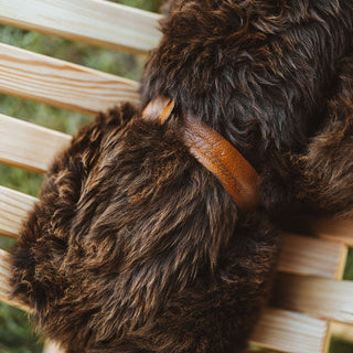 Sheepskin