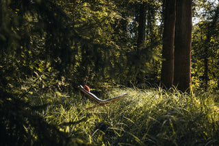 Chaise longue en bois
