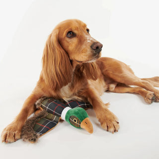 Honden Toy Fazant
