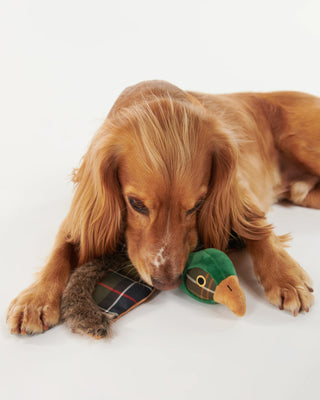 Honden Toy Fazant