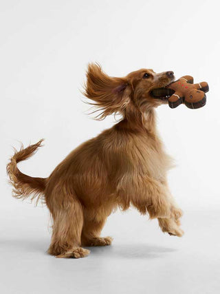 Dog Toy Gingerbread
